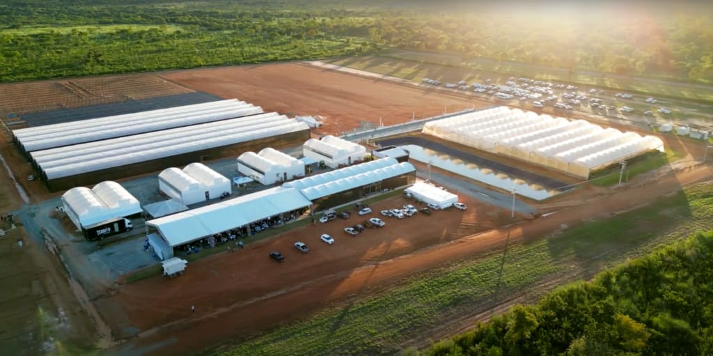 Cacauicultura 4.0, evento em 2024