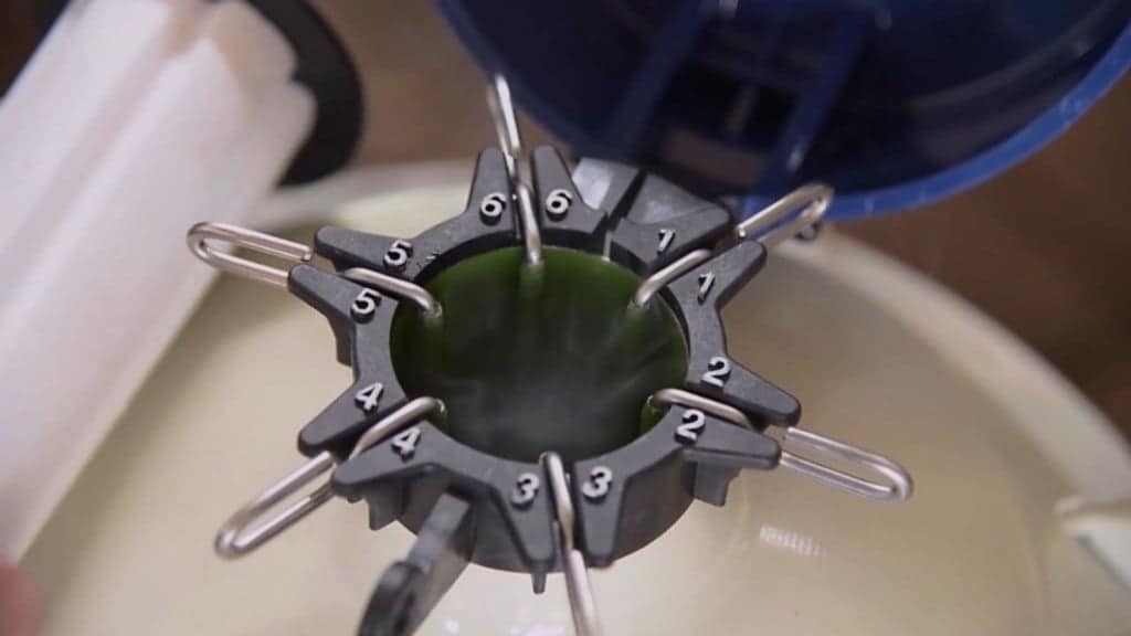 Botijão com semen bovino para os protocolos de IATF na fazenda. Foto: Reprodução