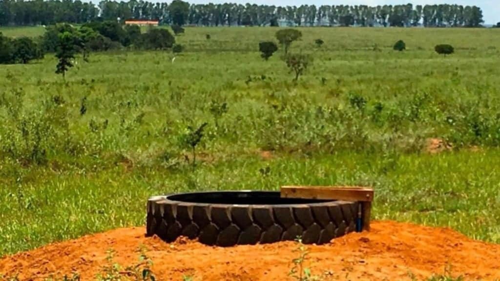 Detalhe de bebedouro de pneu em área de pasto. Foto: Divulgação