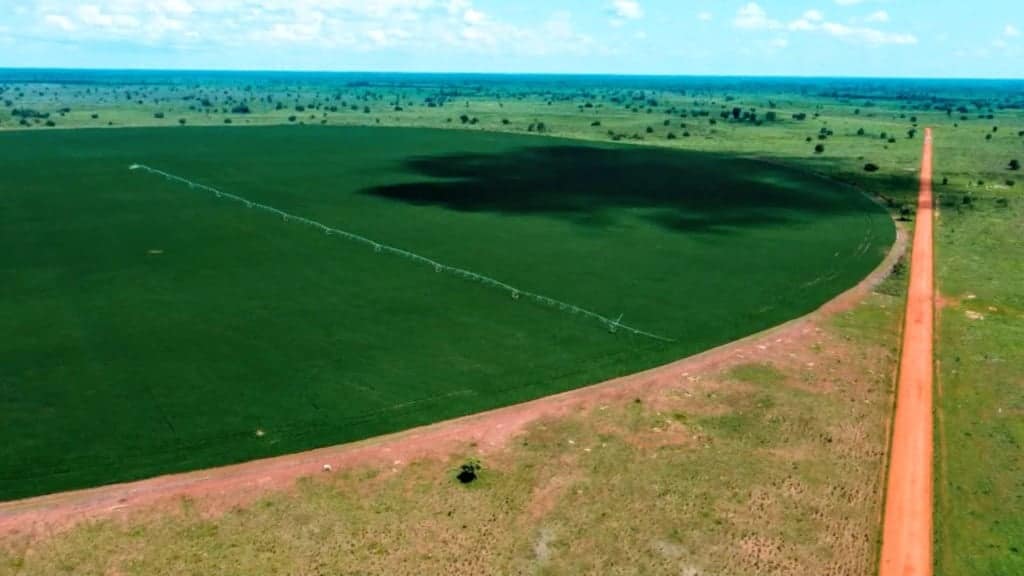 Irrigação por pivô central em área de agricultura na fazenda Nova Piratinga. Foto: Reprodução/Giro do Boi