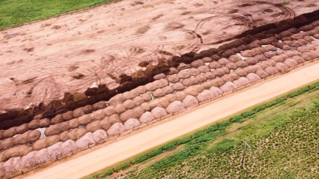 Vista aérea da alimentação a ser distribuída para o gado na fazenda Nova Piratinga. Foto: Reprodução/Giro do Boi