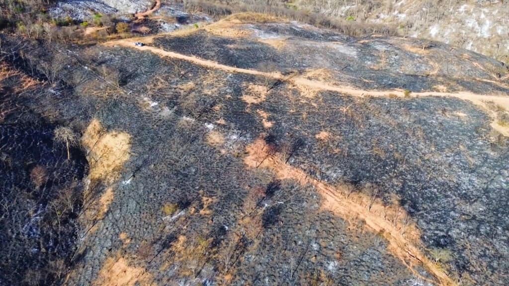 Queimadas no Cerrado ameaçam produção agropecuária, fogo, incêndios florestais