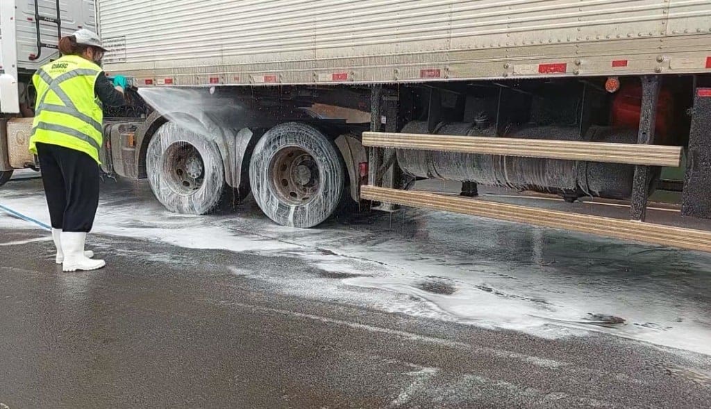medidas de prevenção gripe aviária Santa Catarina