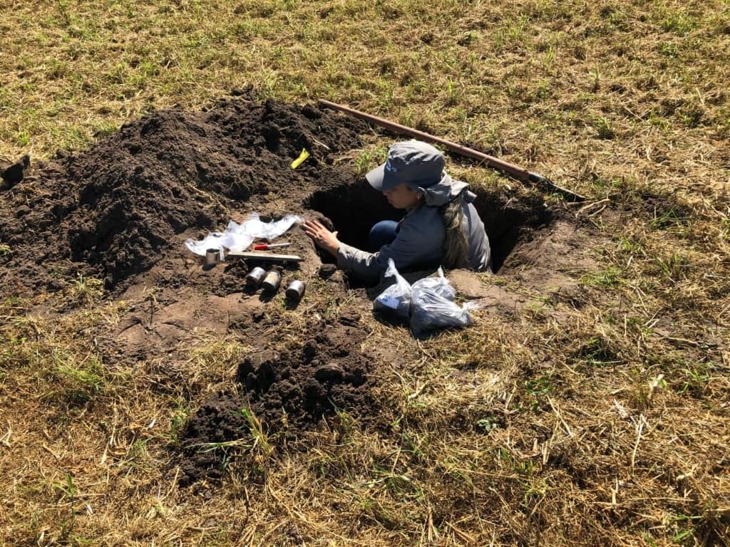 sistemas de integração no Matopiba. Doto: Edvaldo Sagrilo