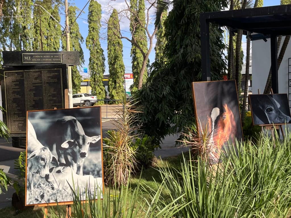 quadro de Guta Alonso na Expogenética 2025