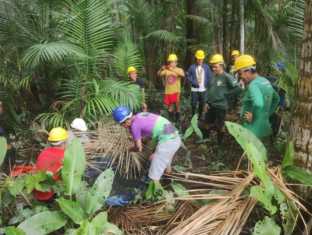 Cooperativa Amazonbai