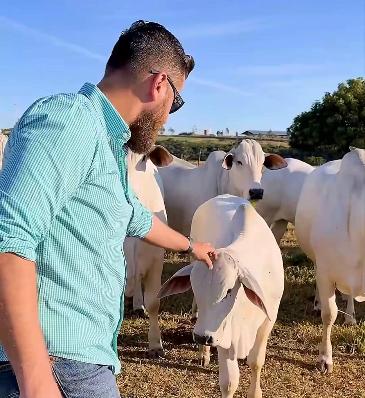 Zé Neto estreia nos leilões com o Cheiro de Terra em São José do Rio Preto